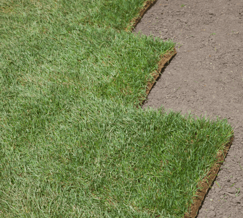 Oconee County Stamped & Decorative Concrete