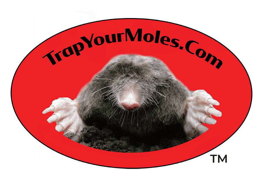 TrapYourMoles