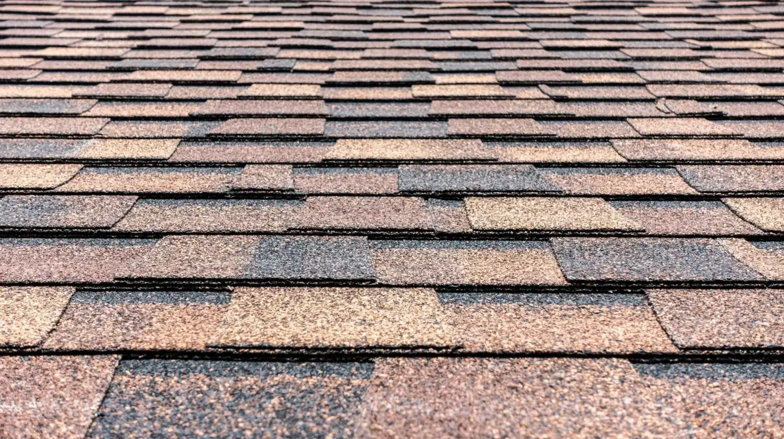 roof shingles roof shingles