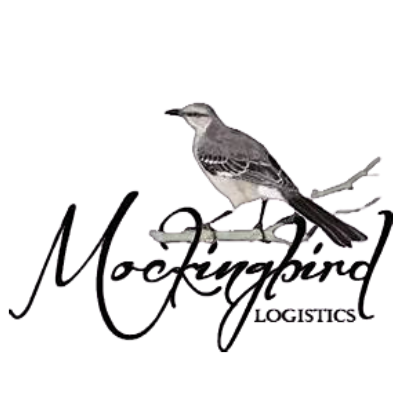Mockingbird Logistics Logo