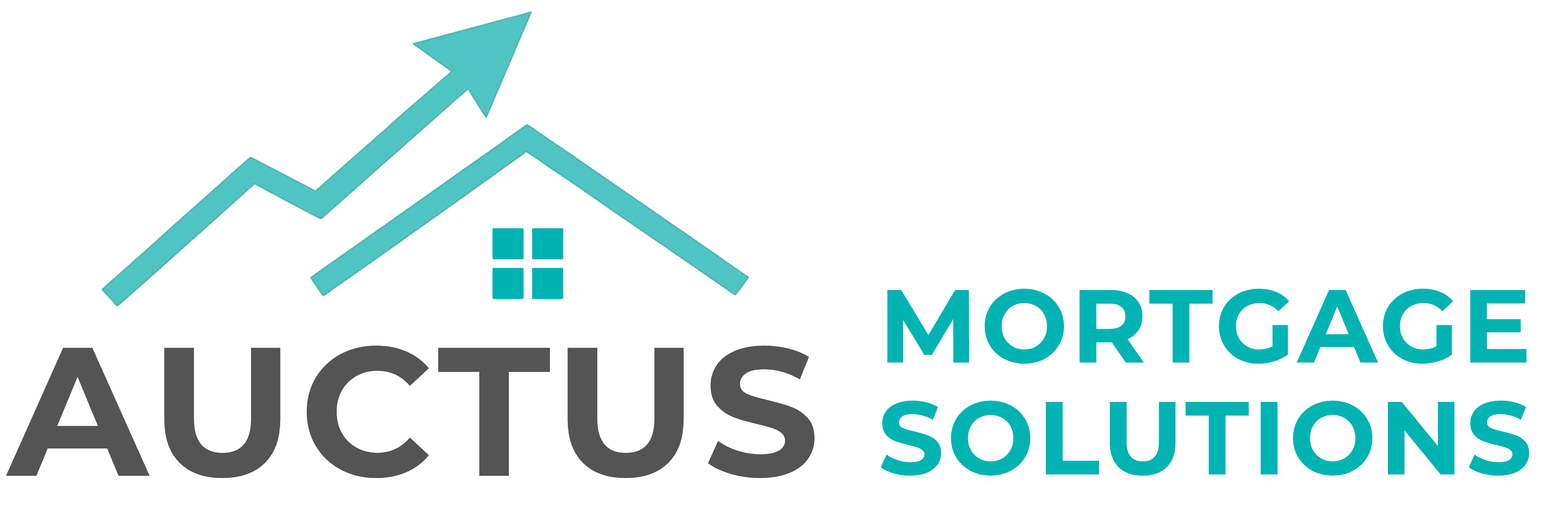 Opt In - Auctus