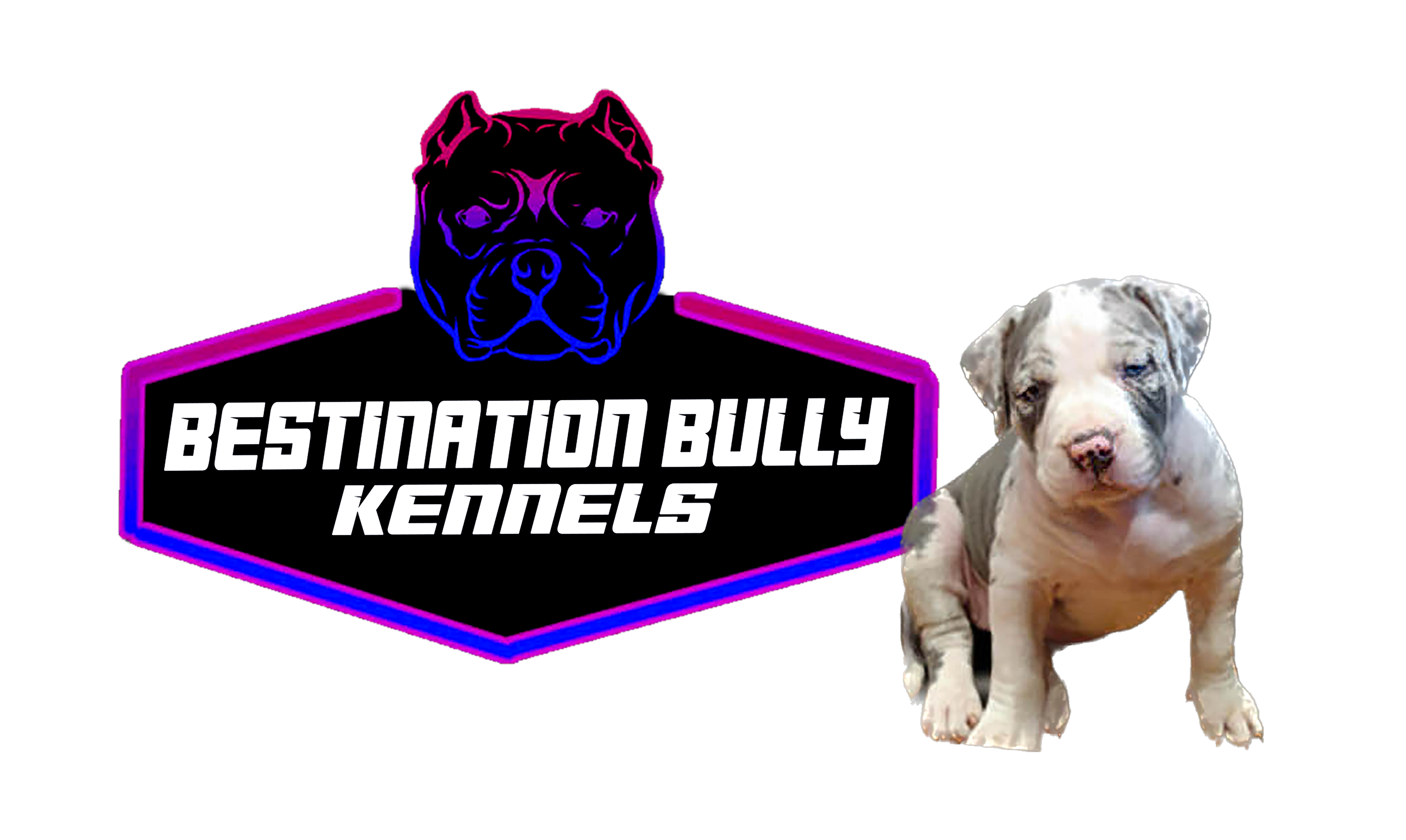 Bestination Bully Kennels