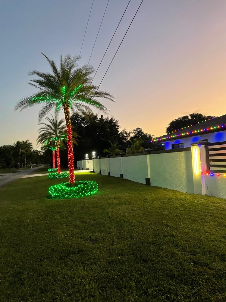 Row of palms wrapped in red trunks and green fronds at dusk