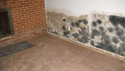 Water Damage in Waterford