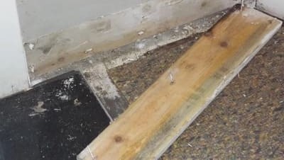 Mold Testing in Waterford