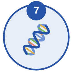 Genes and Cellular Health
