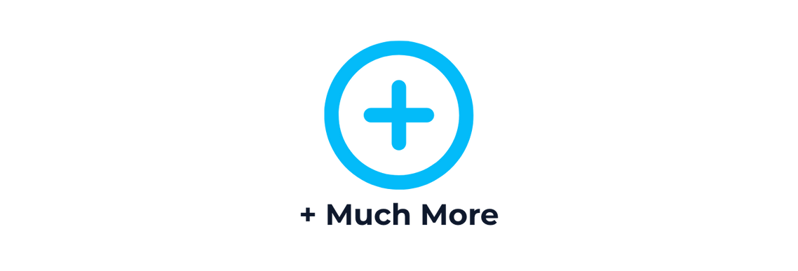 Plus sign icon suggesting additional bonus features included in the free SellerSmart purchasing sheet.