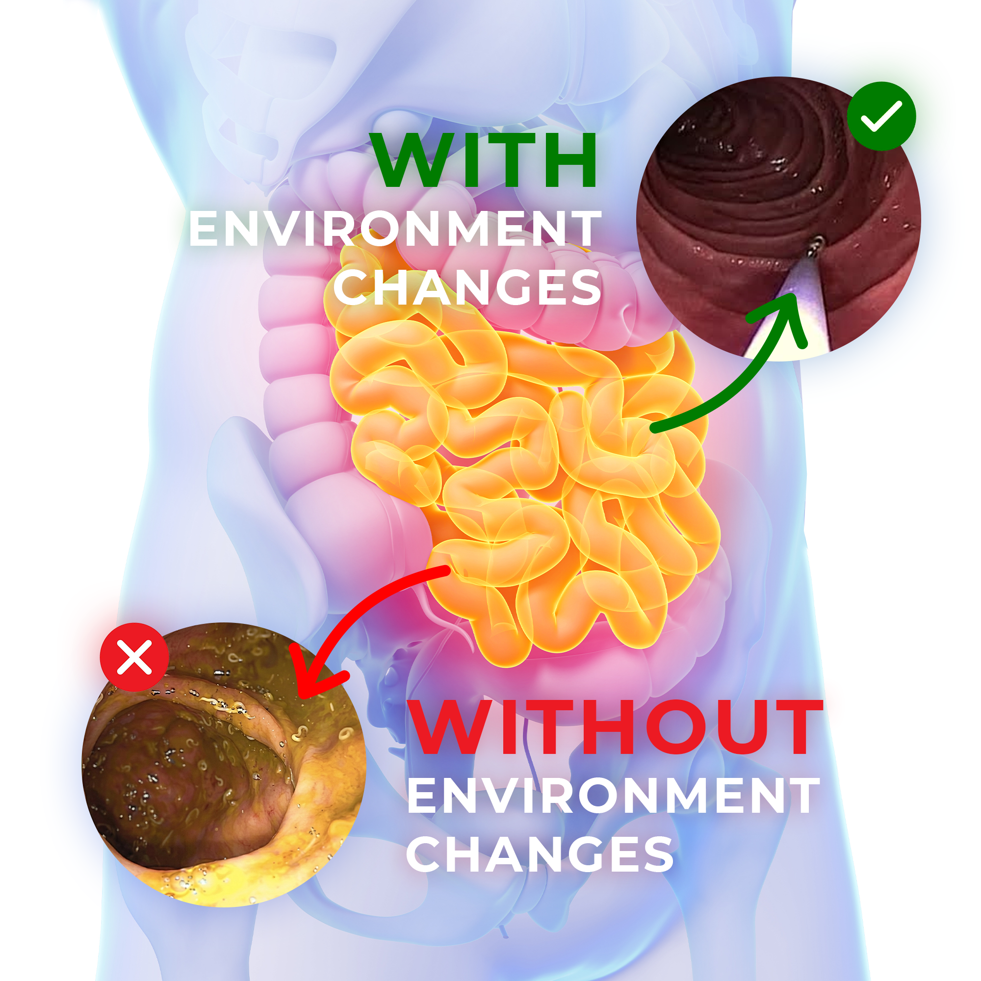 Purevia complete gut cleanse protocol