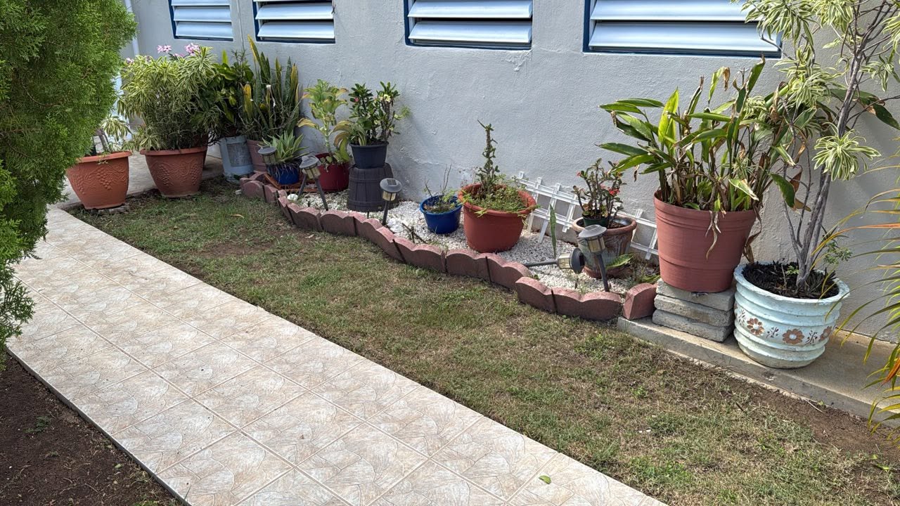 Jardín diseñado y cuidado por Ledey Lawn Care en Puerto Rico