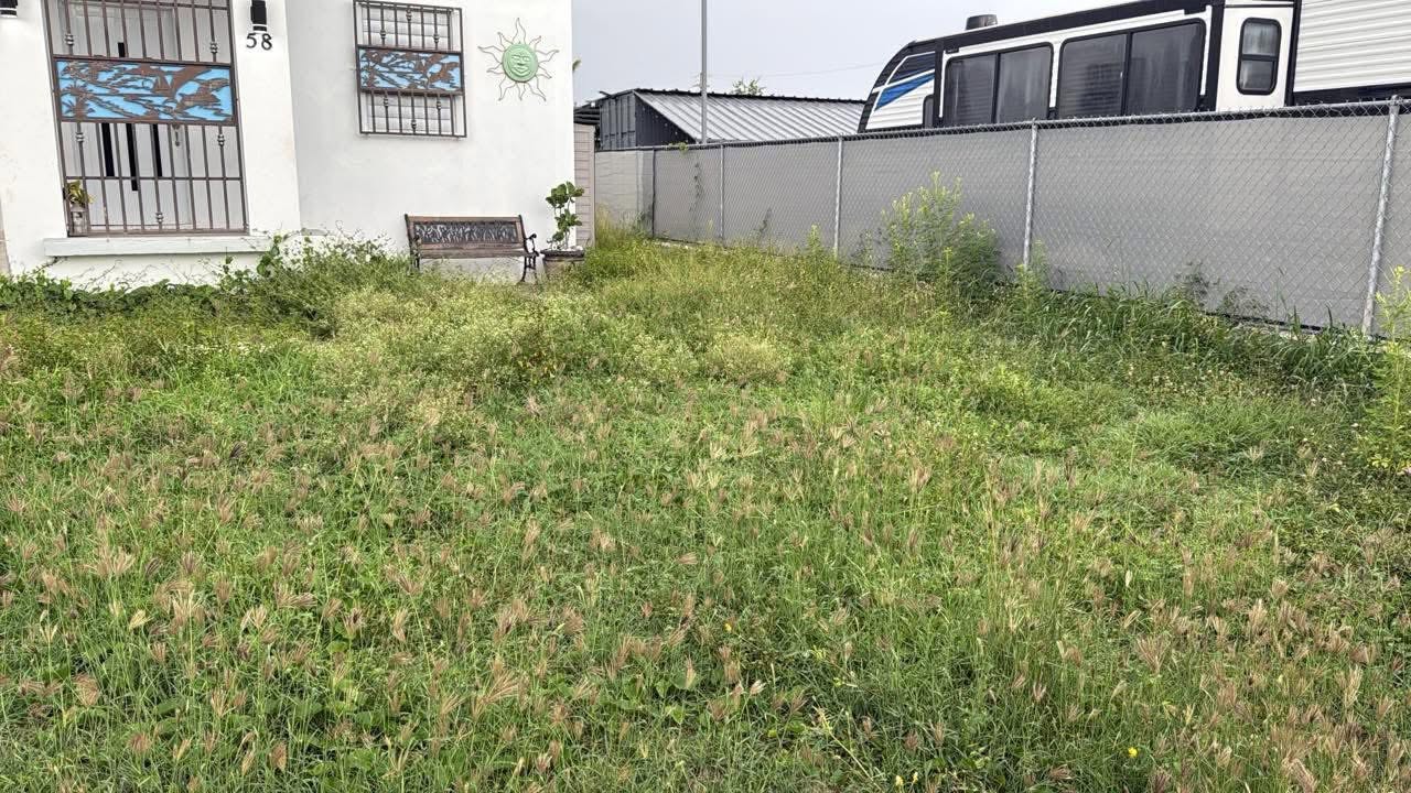 Área verde antes del trabajo de landscaping de Ledey Lawn Care
