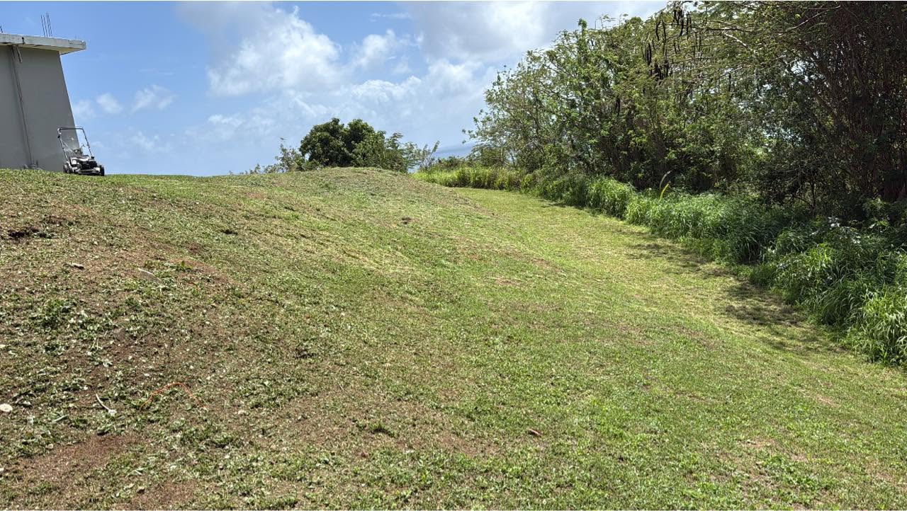 Proyecto de landscaping de Ledey Lawn Care en Puerto Rico