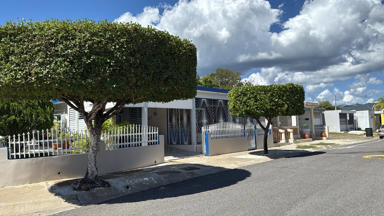Proyecto de landscaping realizado por Ledey Lawn Care en Puerto Rico