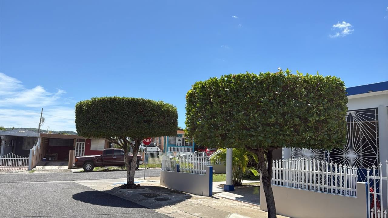 Mantenimiento de Áreas Verdes realizado por Ledey Lawn Care