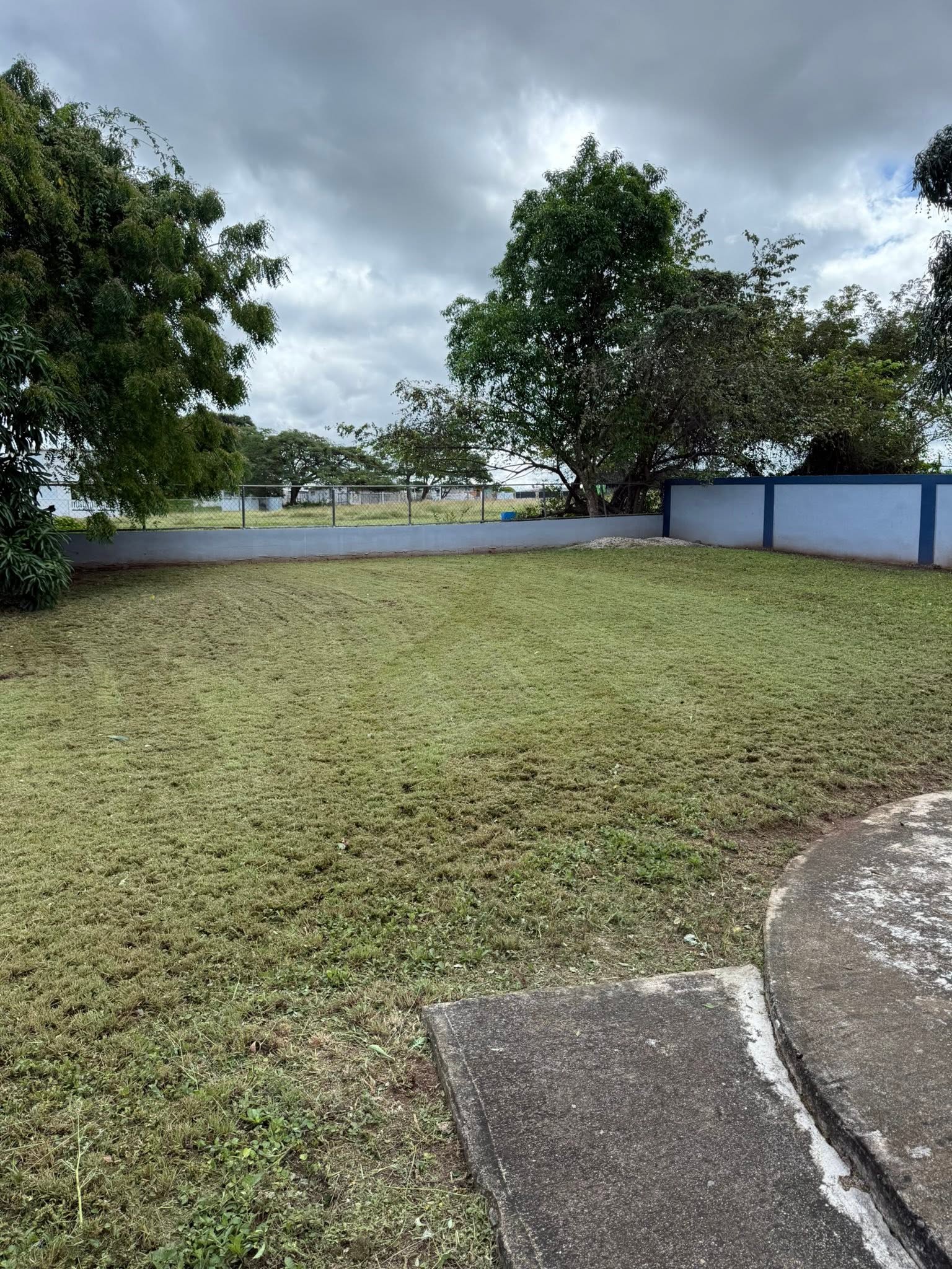 Proyecto de landscaping realizado por Ledey Lawn Care en Puerto Rico