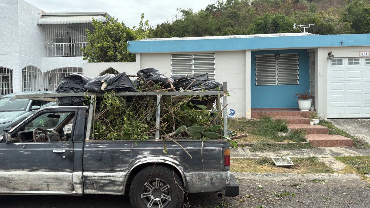 Limpieza de escombros realizada por Ledey Lawn Care