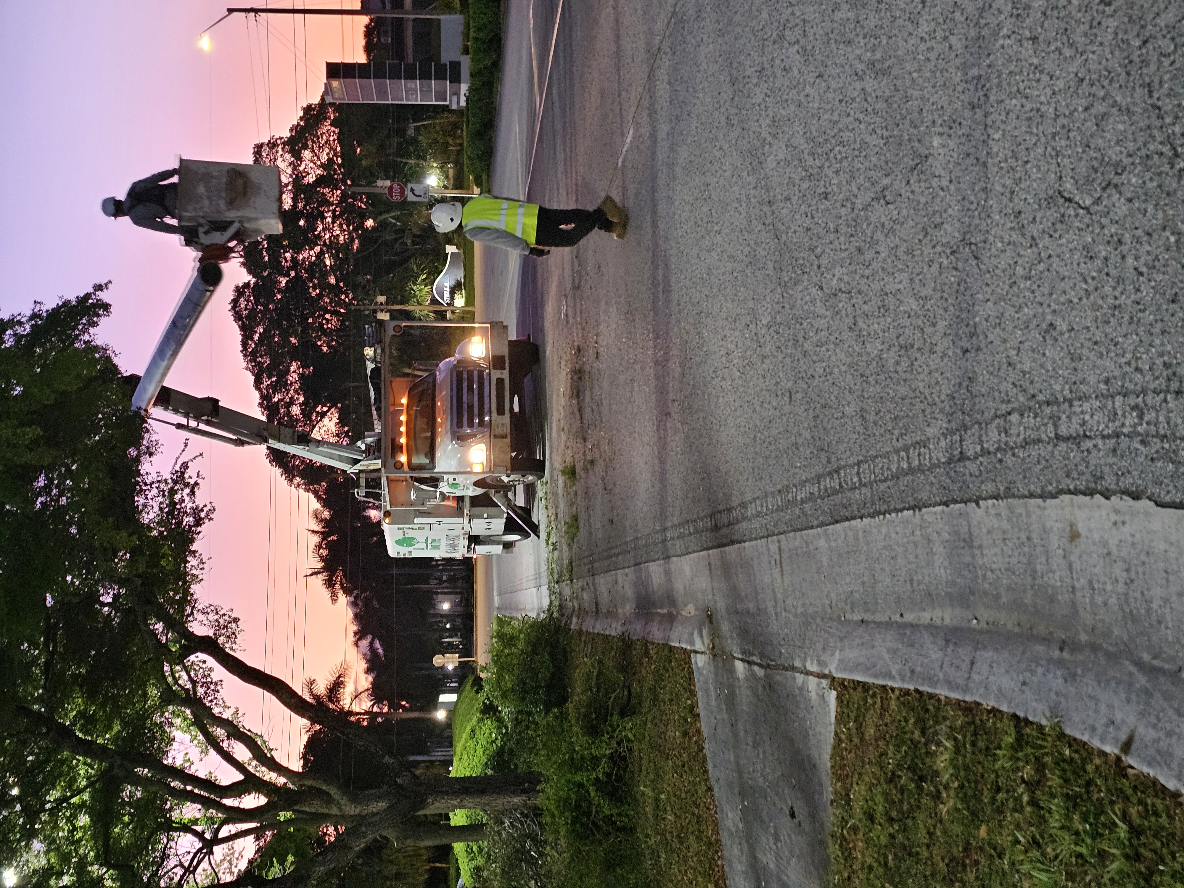 Tree care service in progress on a Broward County property