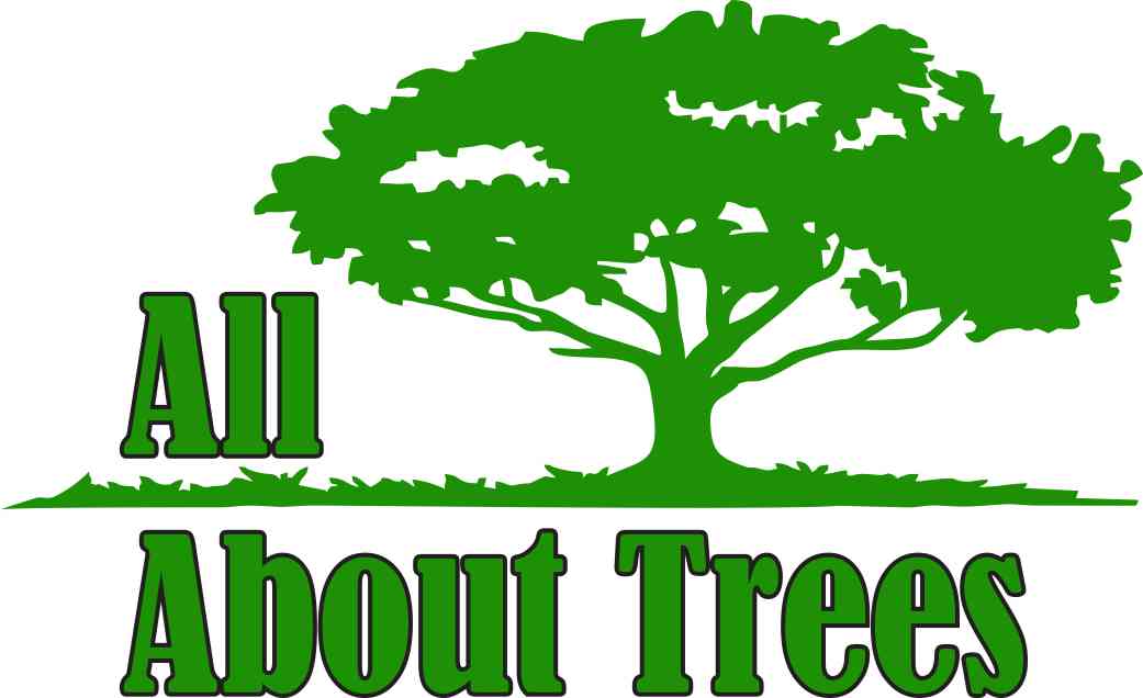 All About Trees Tree Service logo