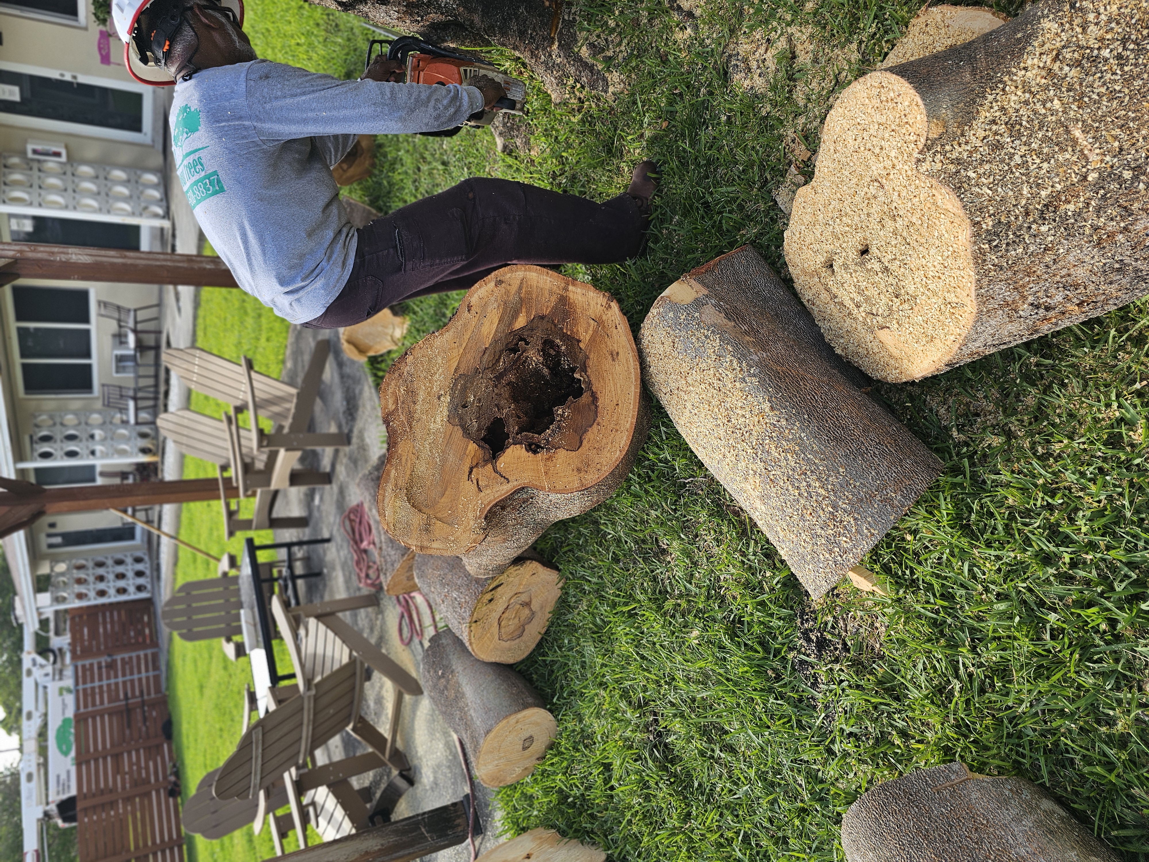 Stump grinding