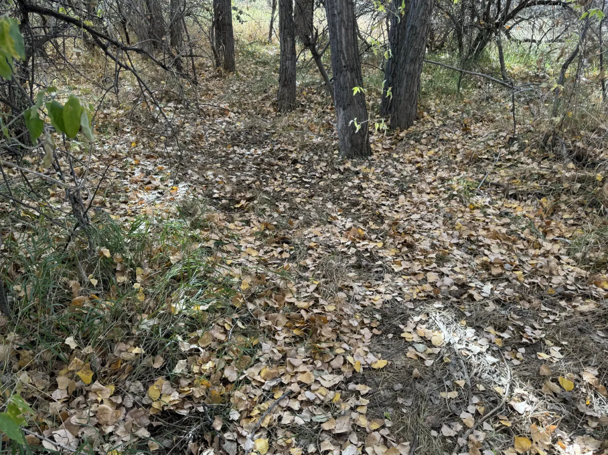 City of Billings park fully restored
