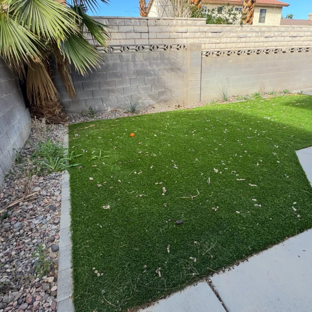 Before turf cleaning