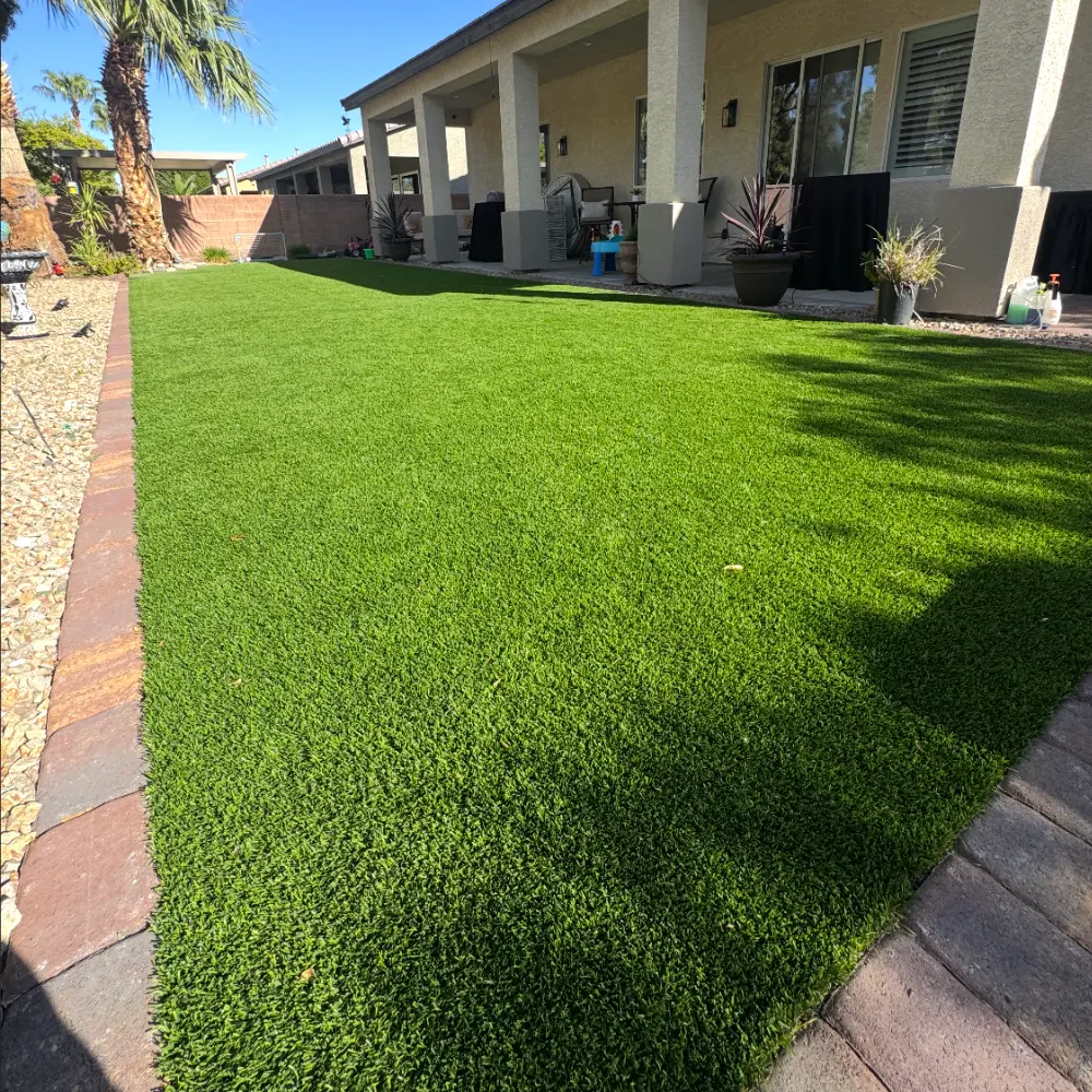 Professional Turf Cleaning