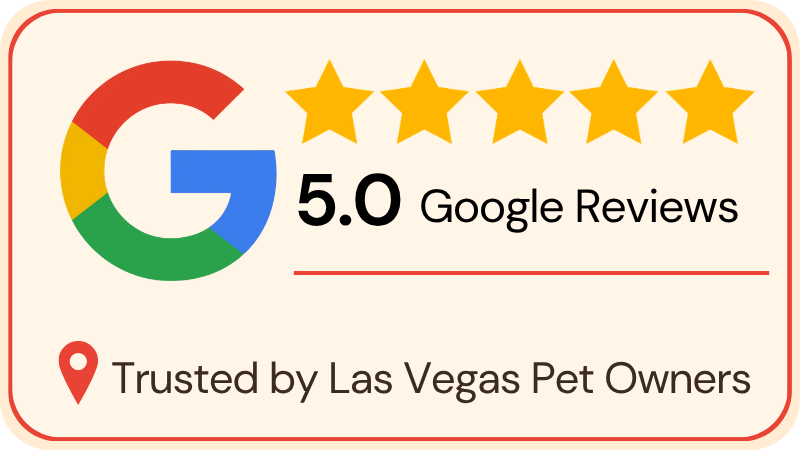 5-Star Google Rating