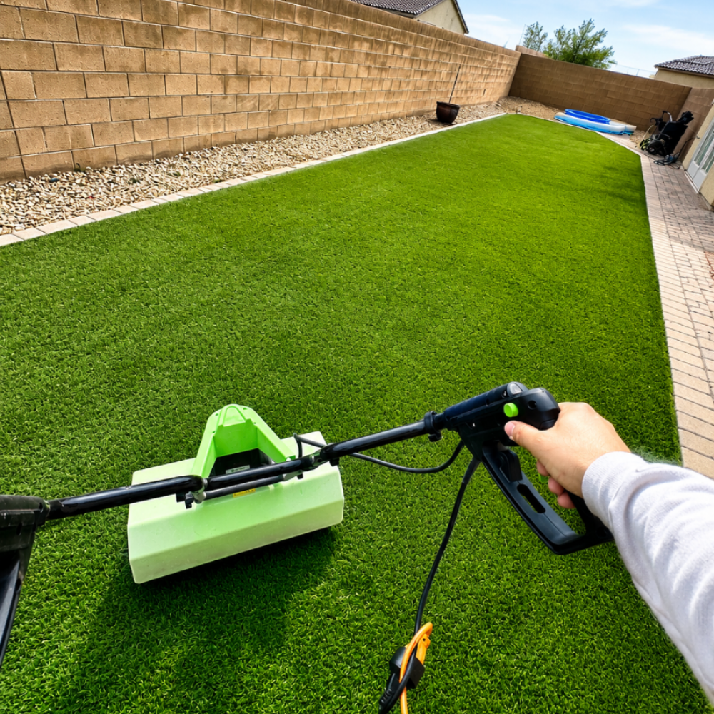 Signs your turf needs cleaning