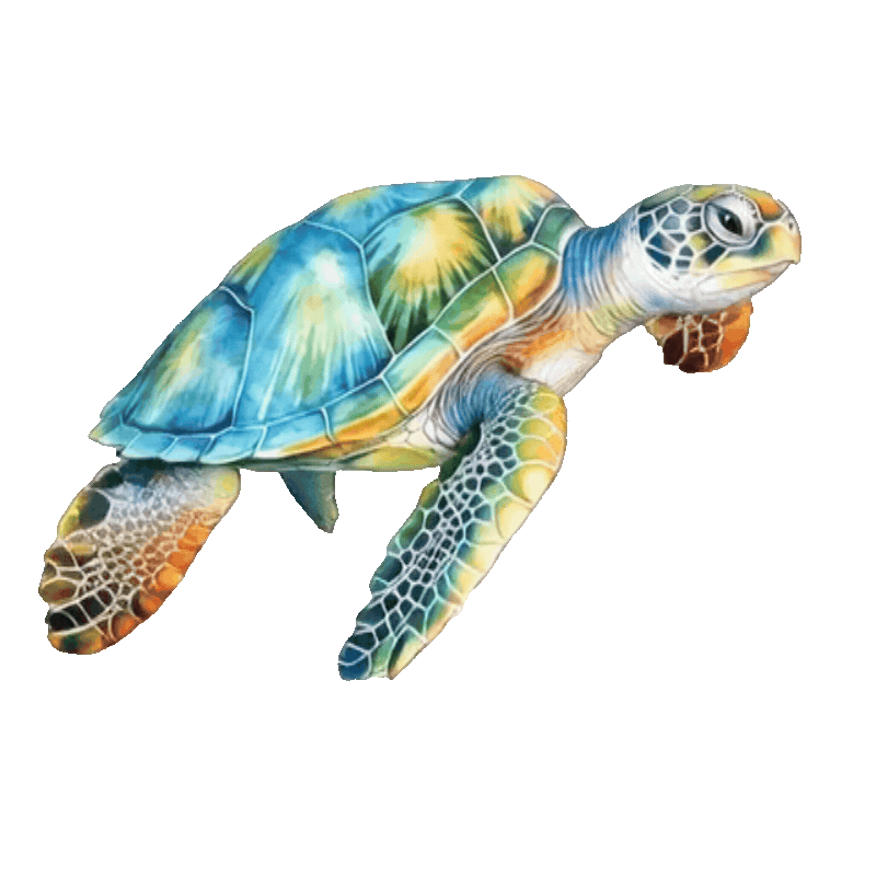 Tortugas sea turtle