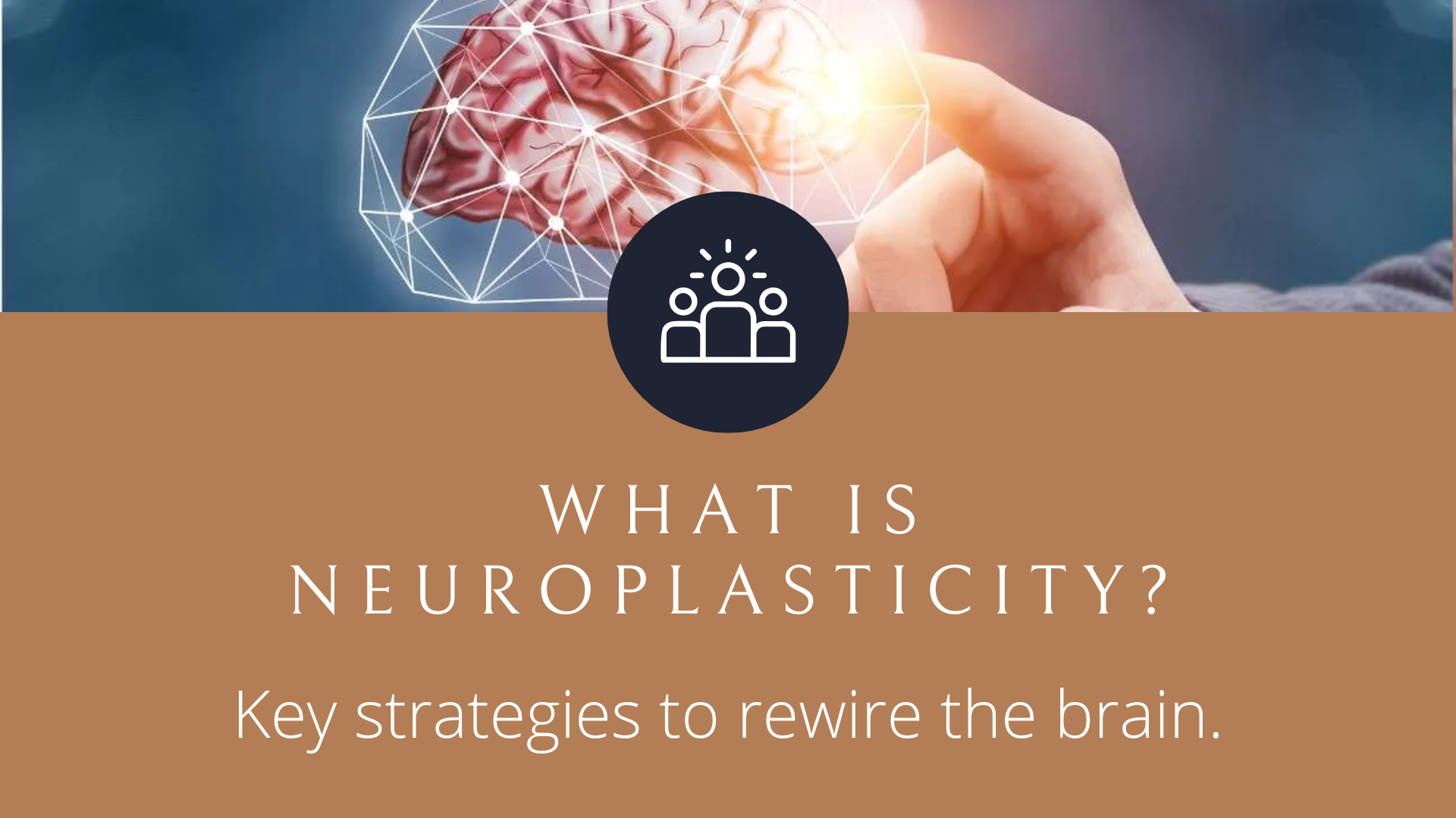 What is Neuroplasticity?