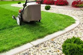 Affordable monthly lawn maintenance and yard care West Phoenix