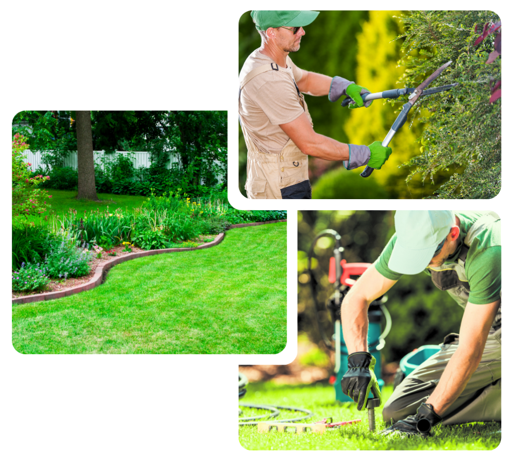 Professional residential landscaping and lawn maintenance service in West Phoenix
