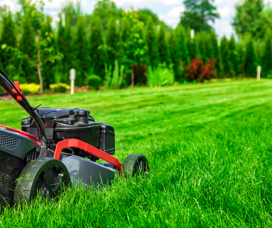lawn care in west phoenix
