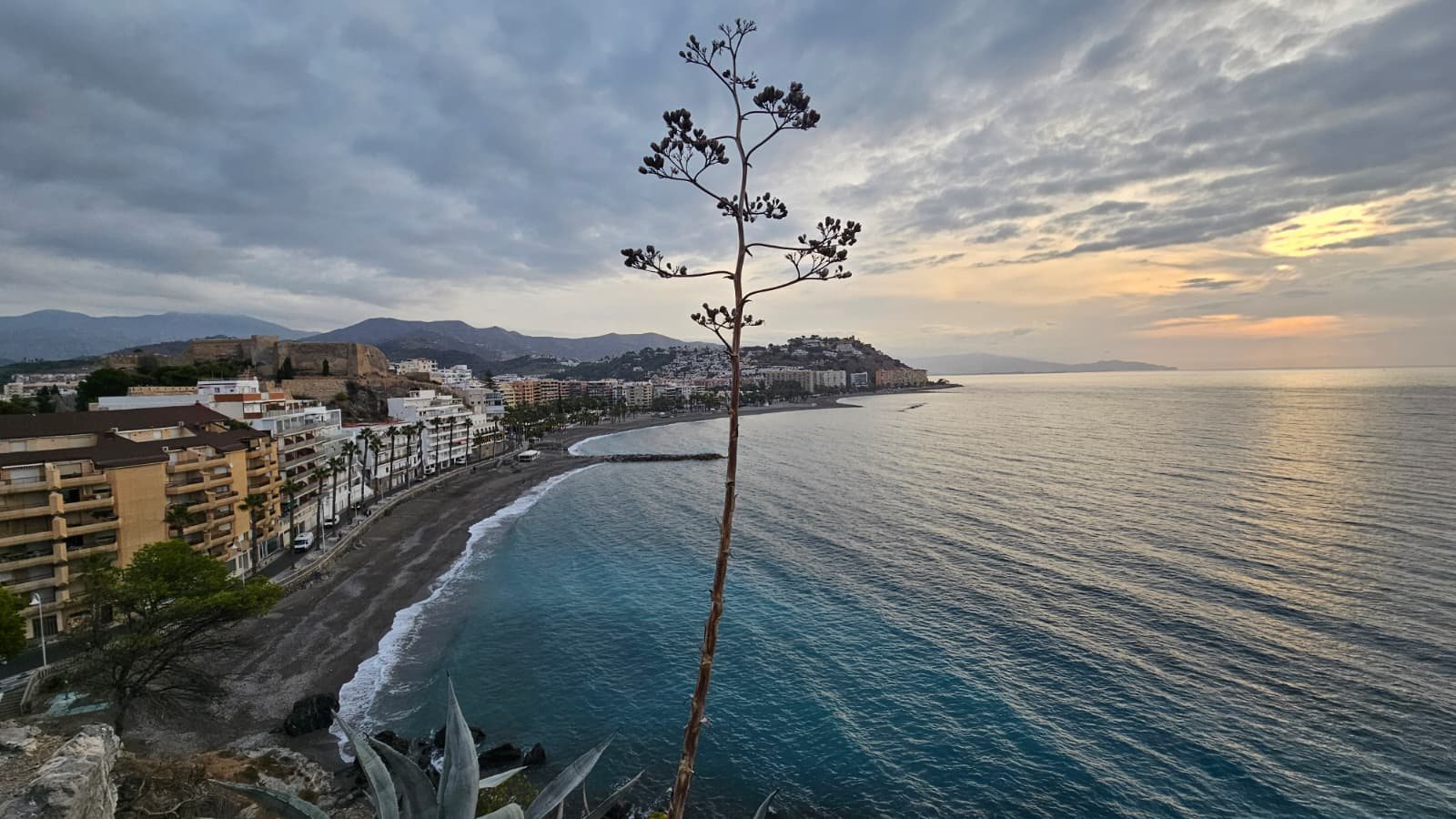 Amanecer sobre la playa de Almuñécar con un agave en flor y el castillo de San Miguel al fondo, Costa Tropical