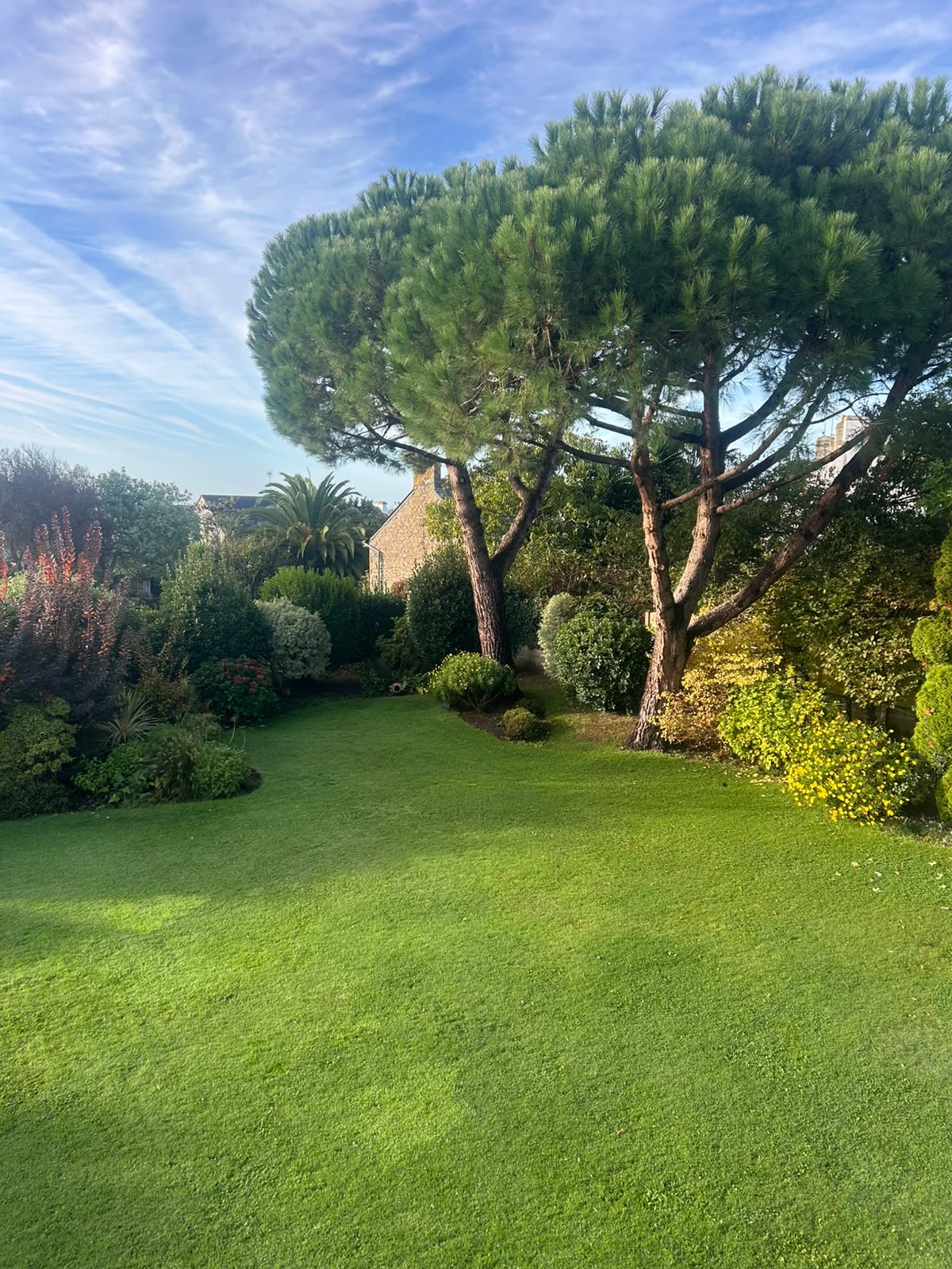 conciergerie résidence secondaire jardin pelouse pins Morbihan