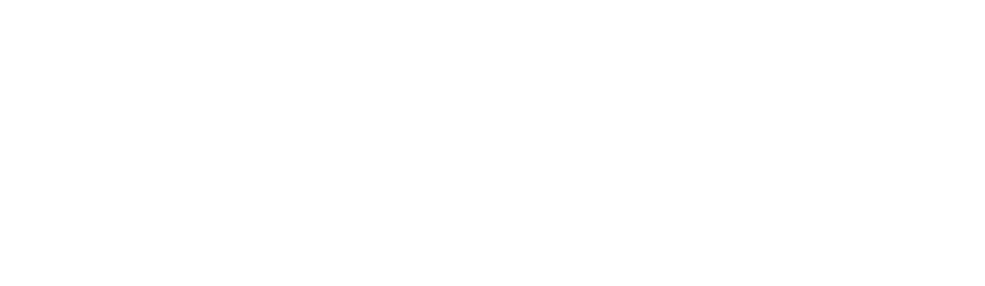Logo media e partner