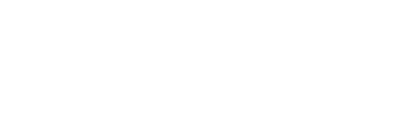 Logo media e partner
