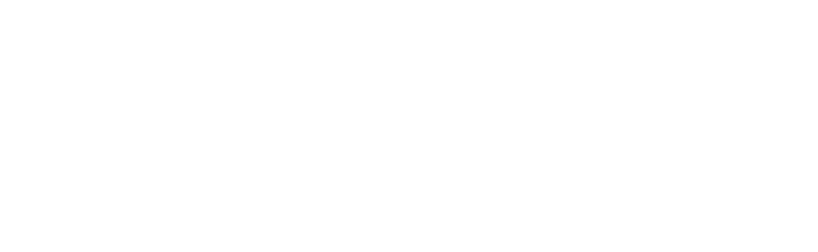 Logo media e partner