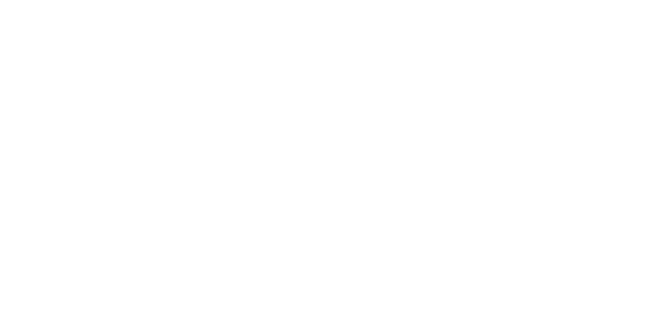 Logo media e partner