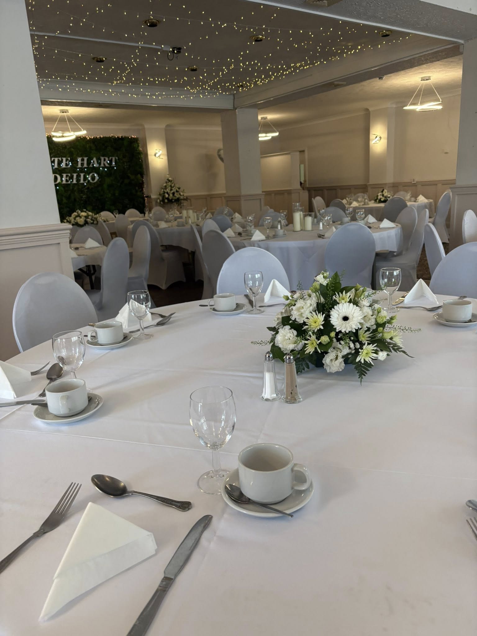 Dinefwr Suite Detail