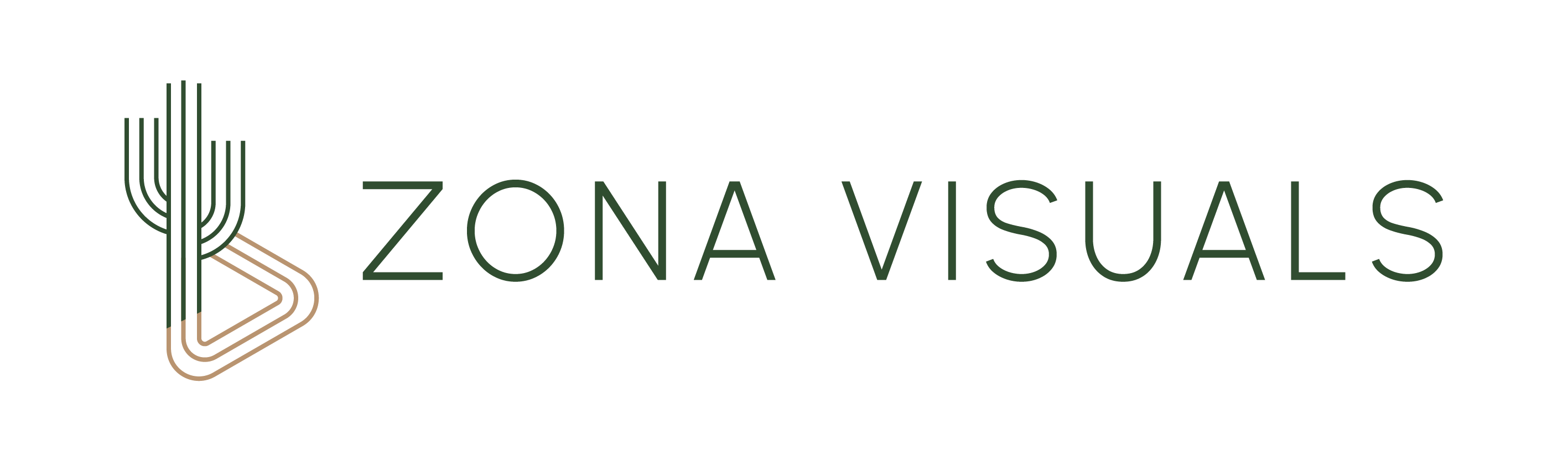 Zona Visuals Logo