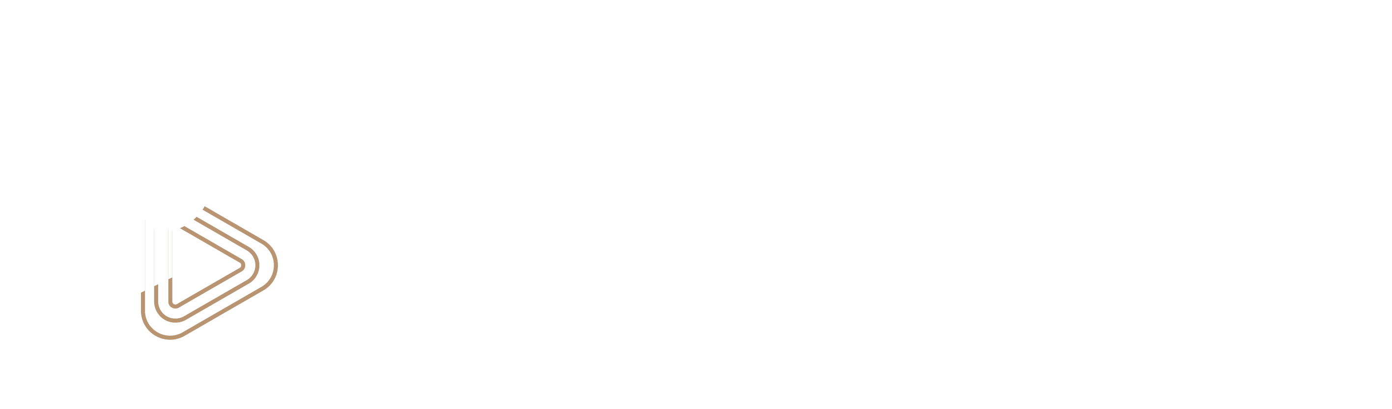 Zona Visuals Logo
