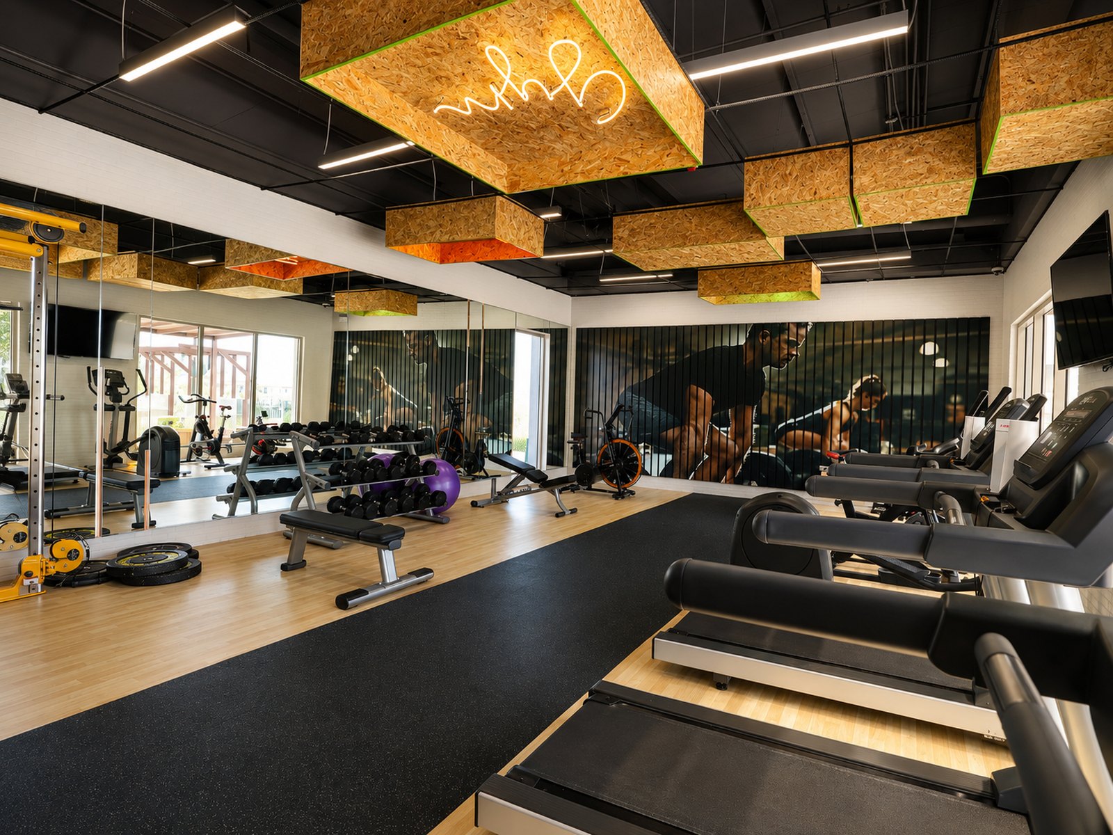 Gimnasio de Parterre