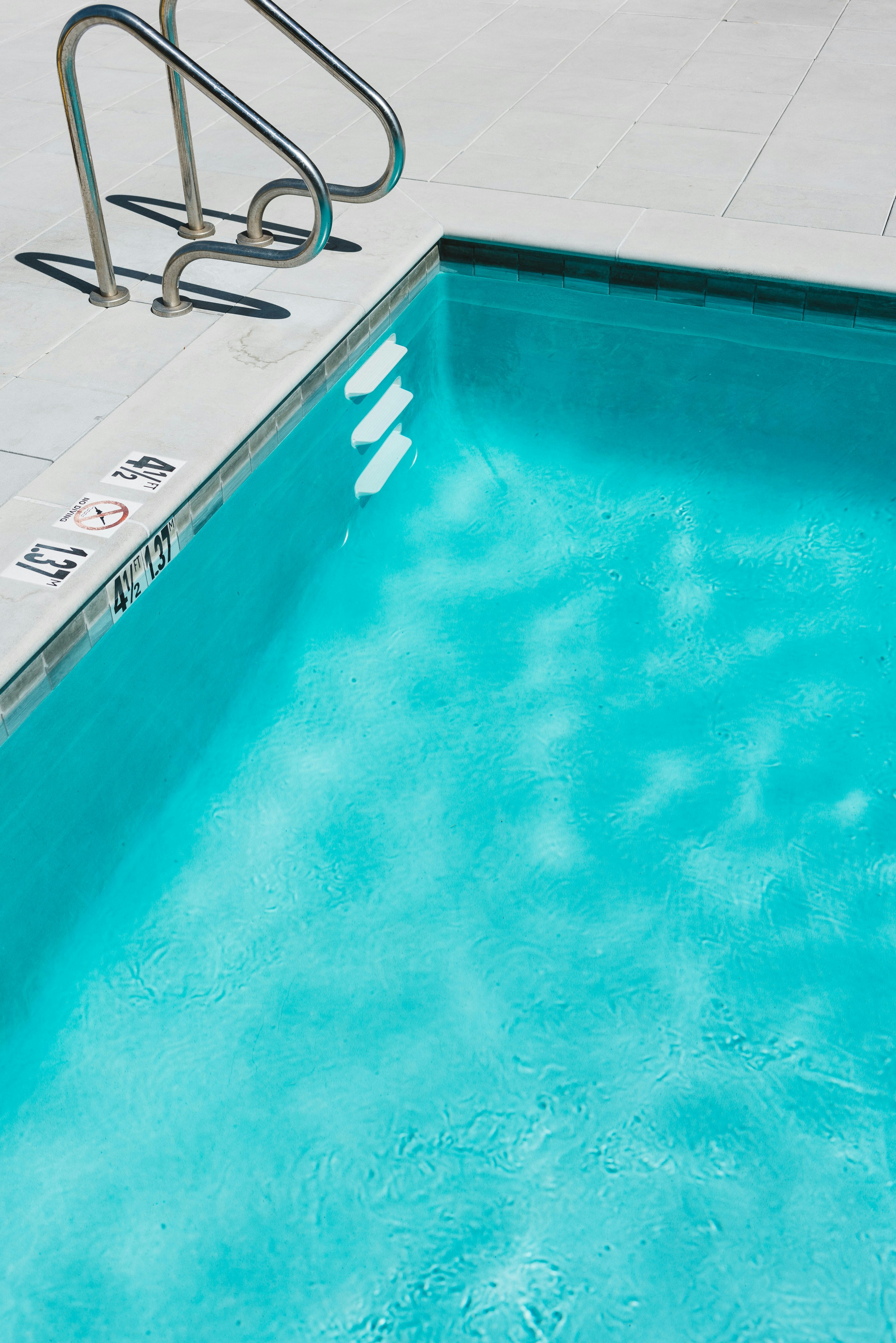 Crystal clear backyard swimming pool ready for summer in Lexington, SC