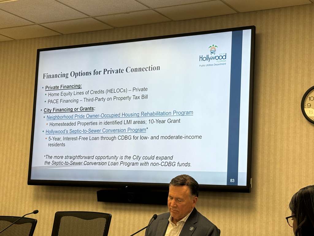 Infrastructure and Flood Resilience 1