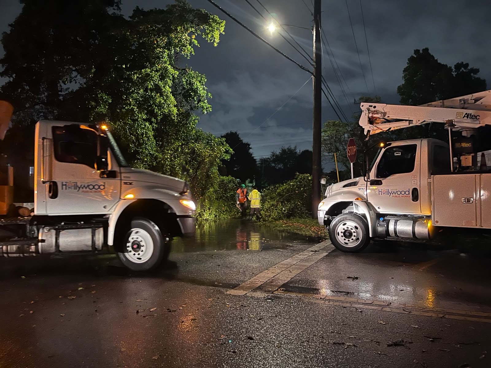 Environmental Stewardship and Neighborhood Resilience 2