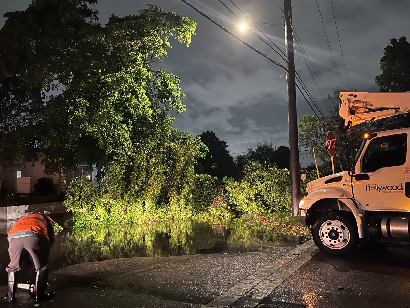 Environmental Stewardship and Neighborhood Resilience 3