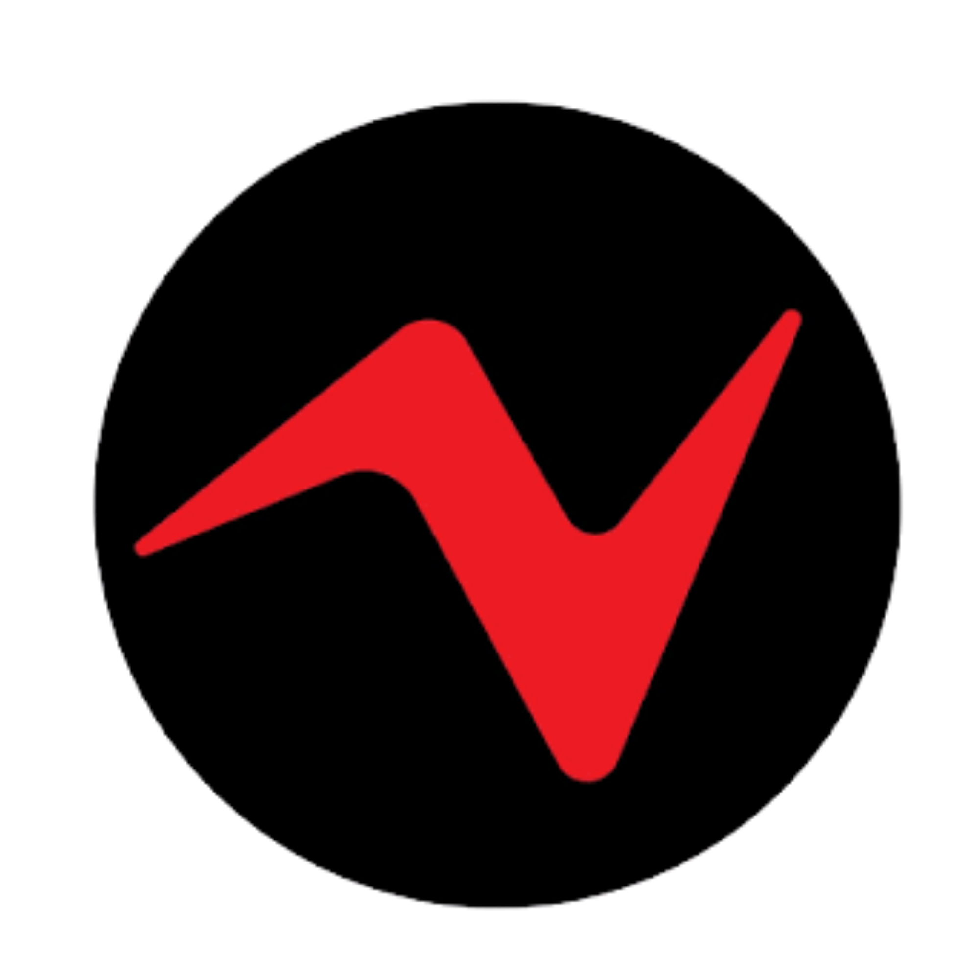 Dave Whichard business logo