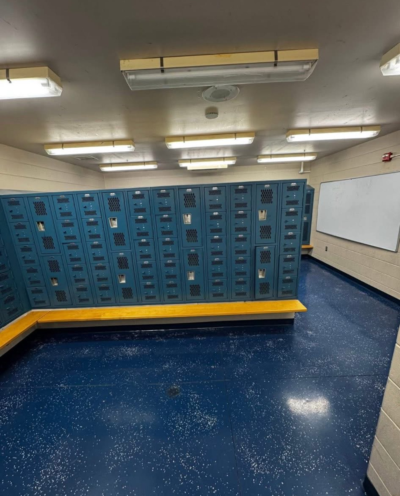 {{ custom_values.service_1 }} in {{custom_values.area_5})