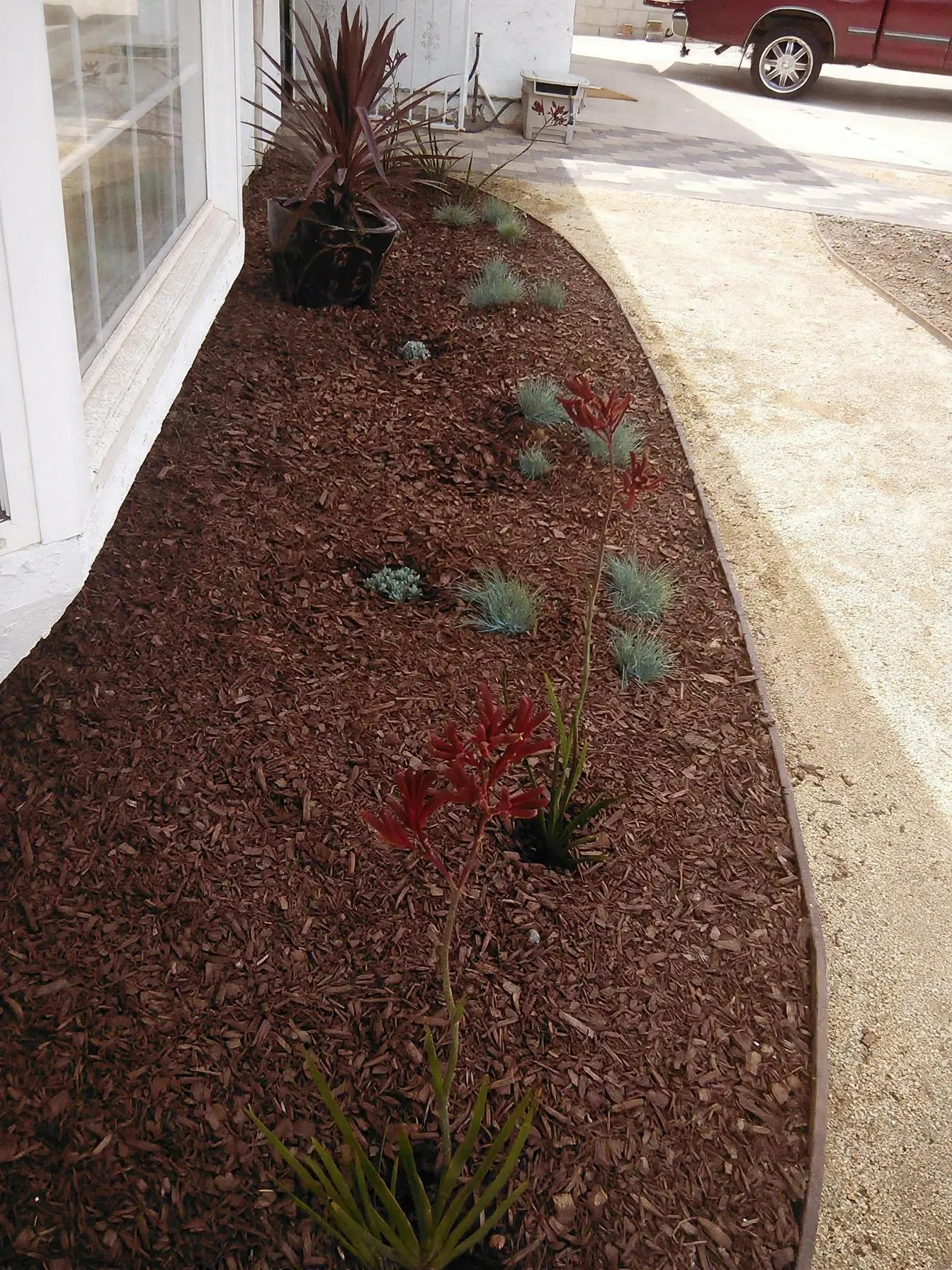 Concrete sidewalk edging a planting bed along a house