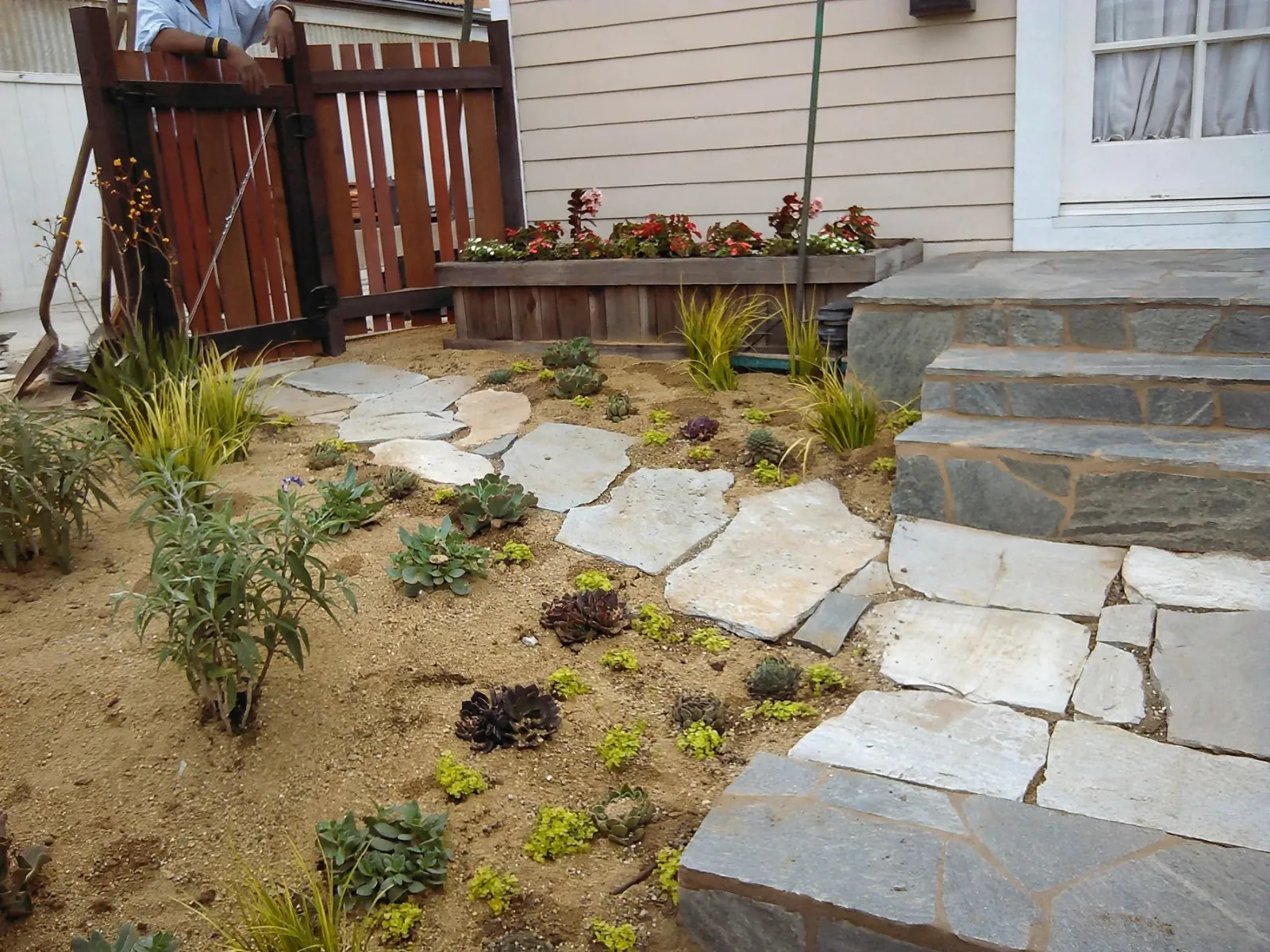 Flagstone stepping path through a planted front yard to stone steps